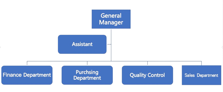 company structure